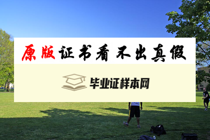 美国圣约翰大学毕业证书模板