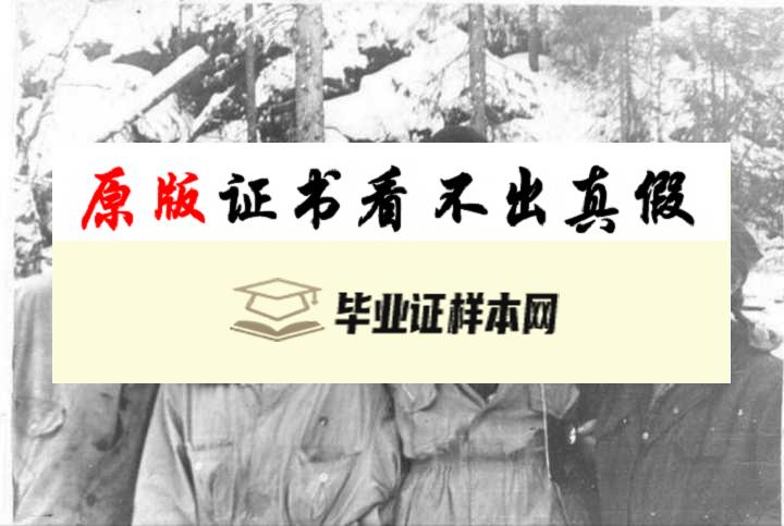 临时加入登山队的「可疑人物」：佐洛托耶夫（右二）