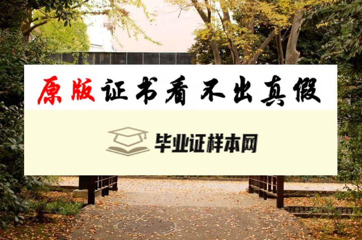 日本早稻田大学毕业证书模板