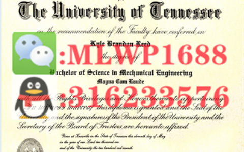 美国田纳西大学毕业证书模板