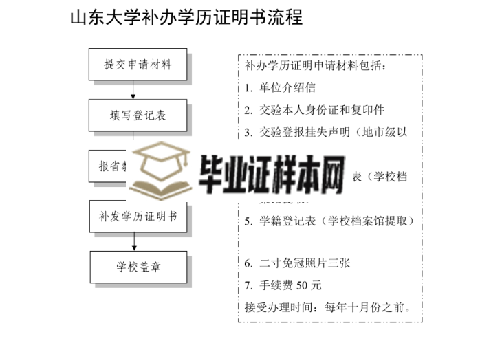 山东大学补办学历证明书流程图