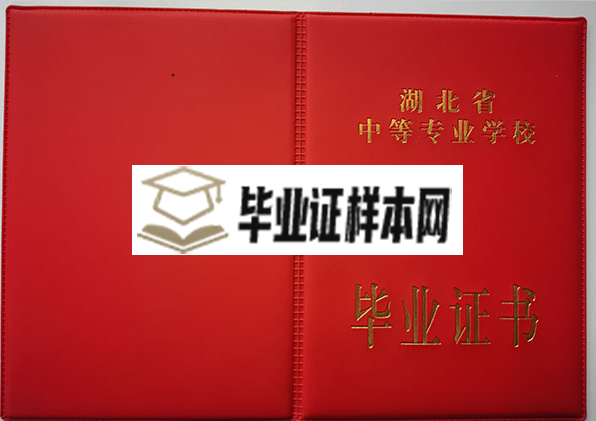 湖北省2002年中专毕业证封皮