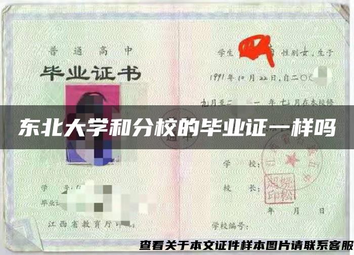 东北大学和分校的毕业证一样吗