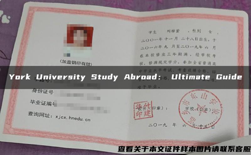 York University Study Abroad： Ultimate Guide