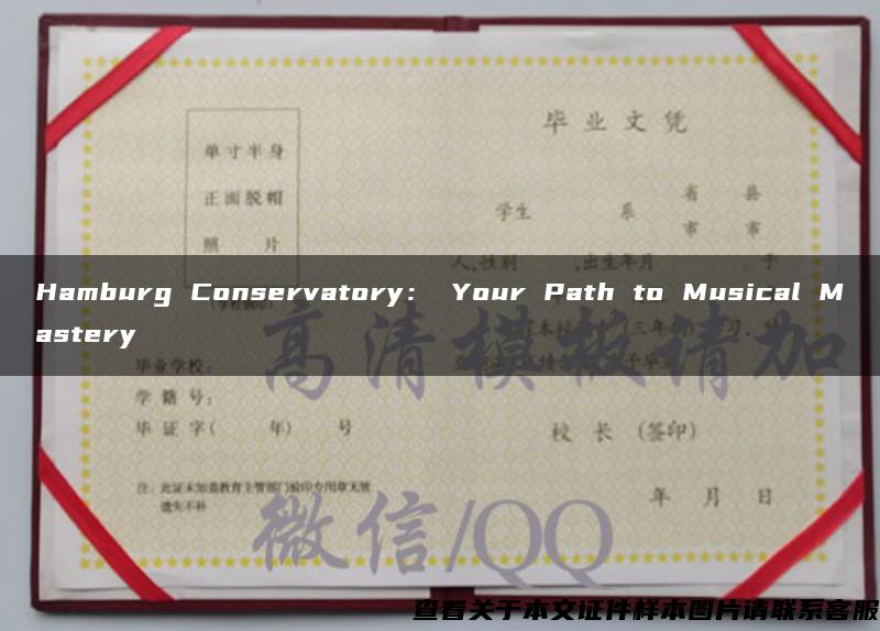 Hamburg Conservatory： Your Path to Musical Mastery