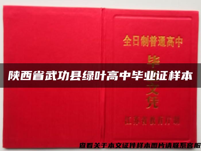 陕西省武功县绿叶高中毕业证样本