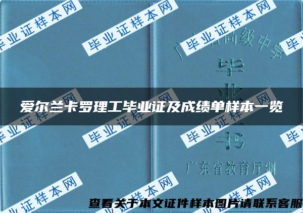 爱尔兰卡罗理工毕业证及成绩单样本一览