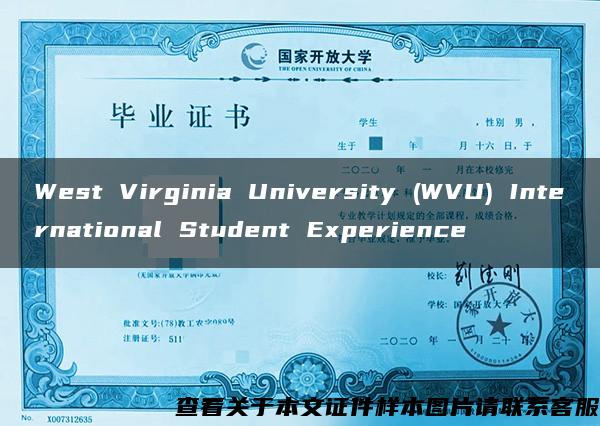 West Virginia University (WVU) International Student Experience