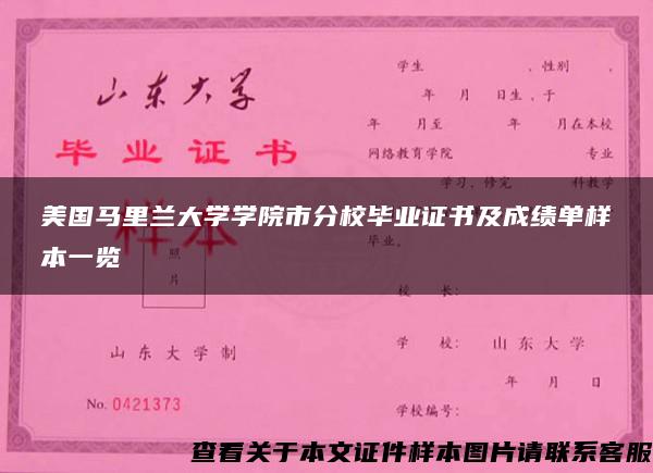 美国马里兰大学学院市分校毕业证书及成绩单样本一览