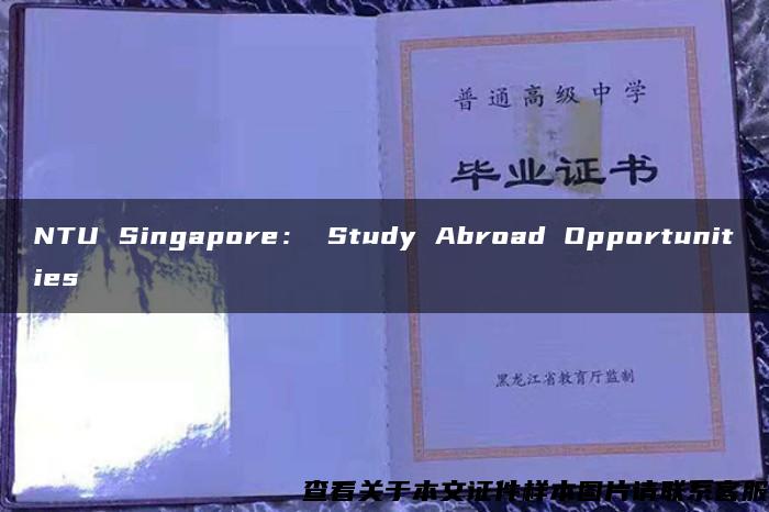 NTU Singapore： Study Abroad Opportunities