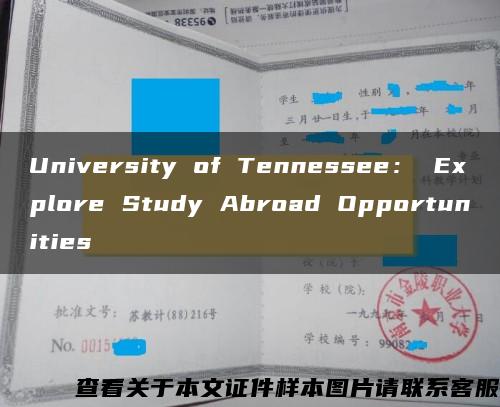 University of Tennessee： Explore Study Abroad Opportunities