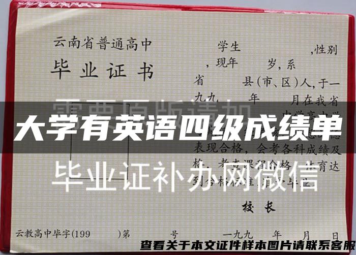 大学有英语四级成绩单