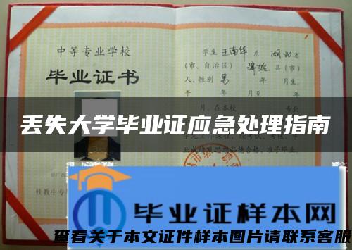 丢失大学毕业证应急处理指南