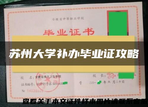 苏州大学补办毕业证攻略