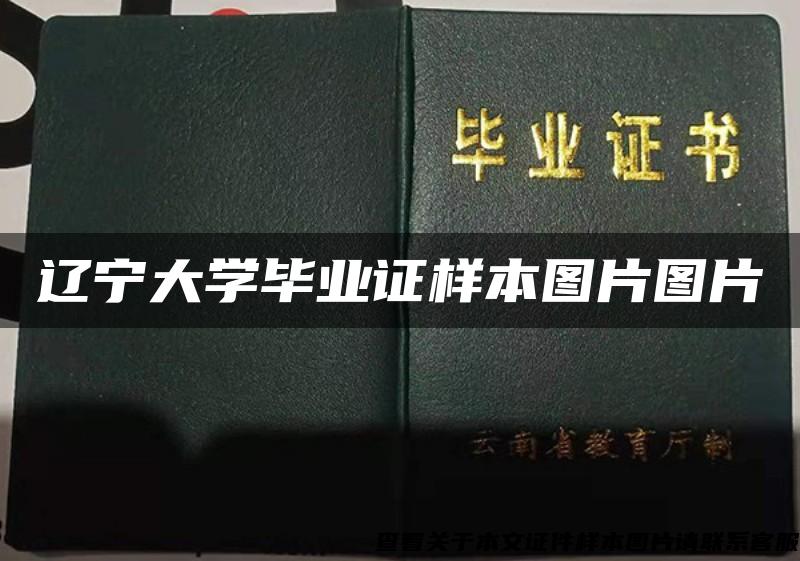 辽宁大学毕业证样本图片图片