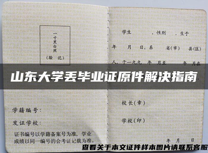 山东大学丢毕业证原件解决指南