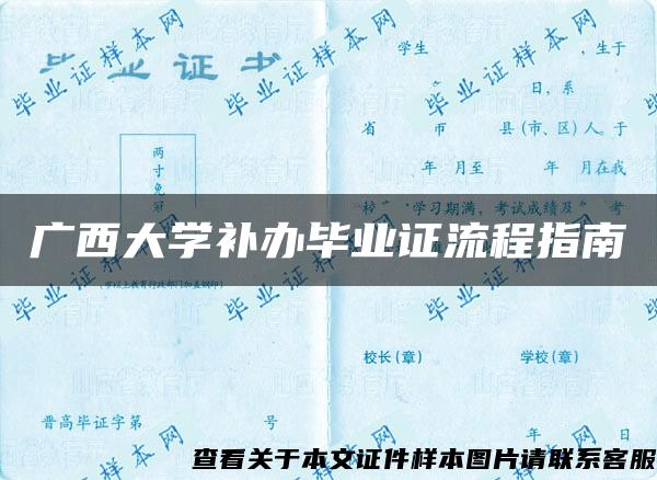 广西大学补办毕业证流程指南