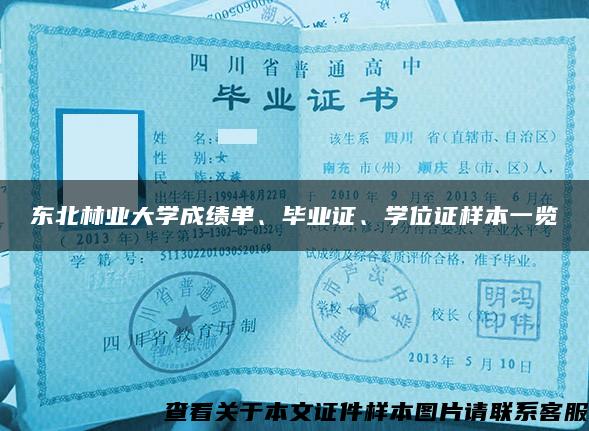 东北林业大学成绩单、毕业证、学位证样本一览