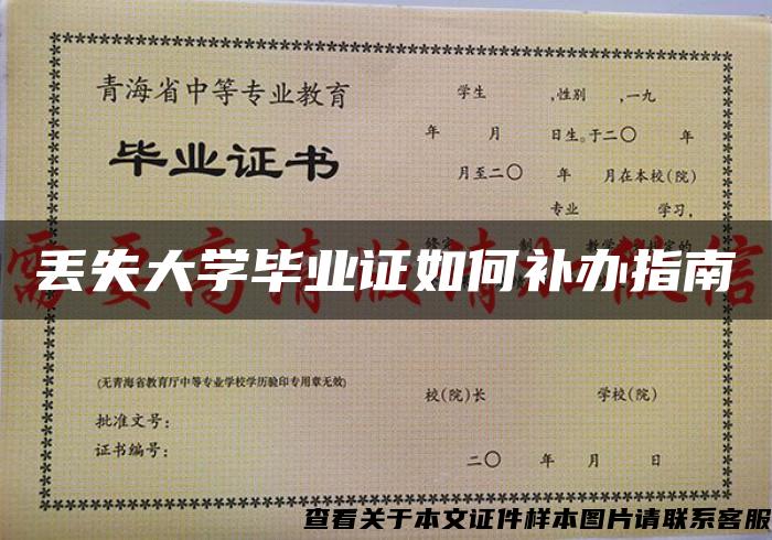 丢失大学毕业证如何补办指南