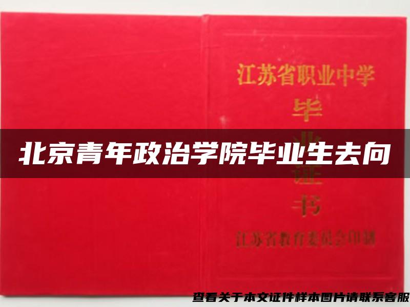 北京青年政治学院毕业生去向