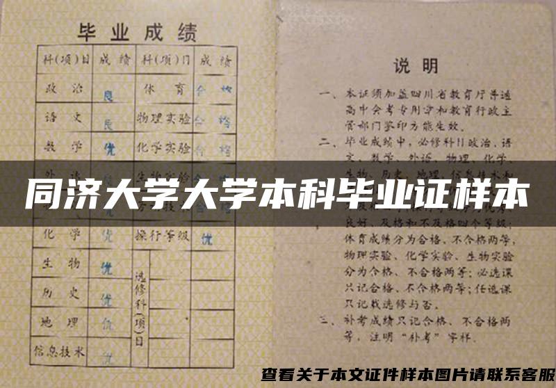 同济大学大学本科毕业证样本