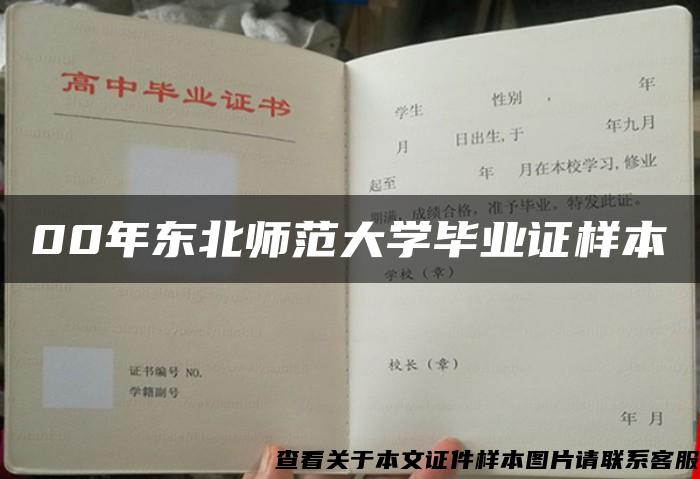 00年东北师范大学毕业证样本