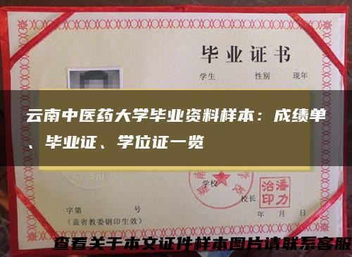 云南中医药大学毕业资料样本：成绩单、毕业证、学位证一览