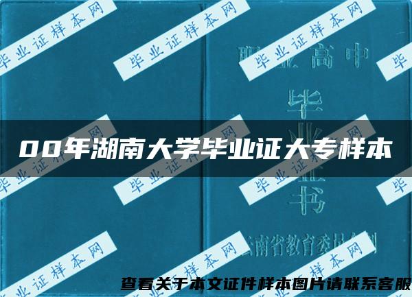 00年湖南大学毕业证大专样本