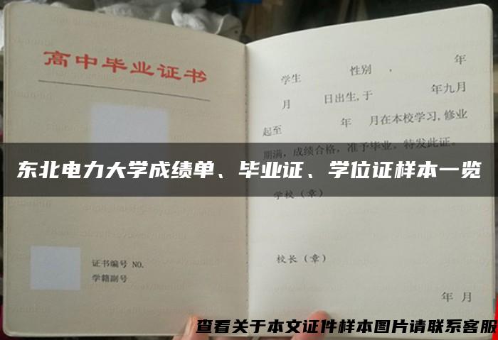 东北电力大学成绩单、毕业证、学位证样本一览