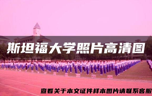 斯坦福大学照片高清图