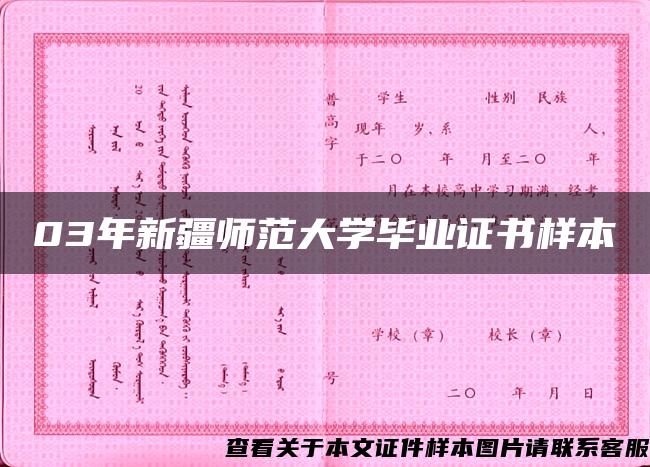 03年新疆师范大学毕业证书样本