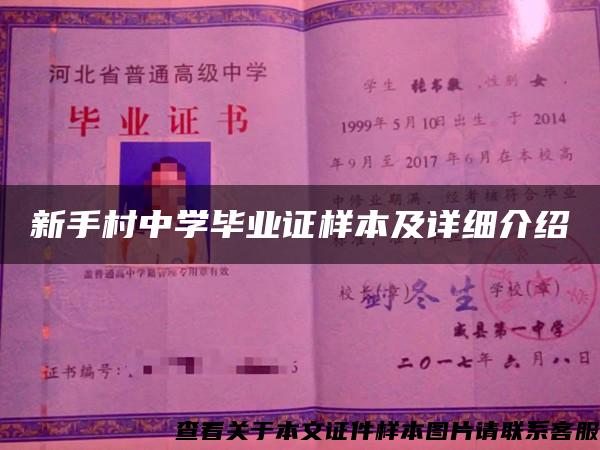 新手村中学毕业证样本及详细介绍