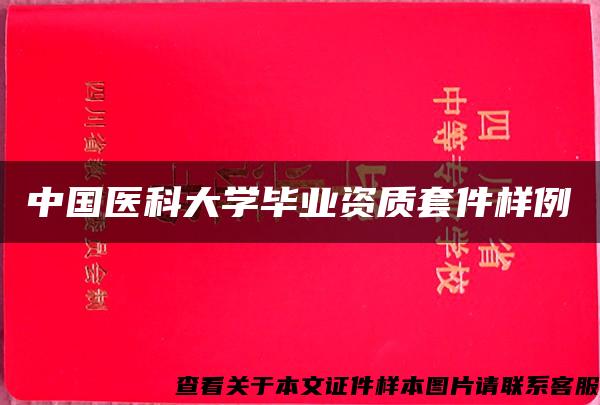 中国医科大学毕业资质套件样例