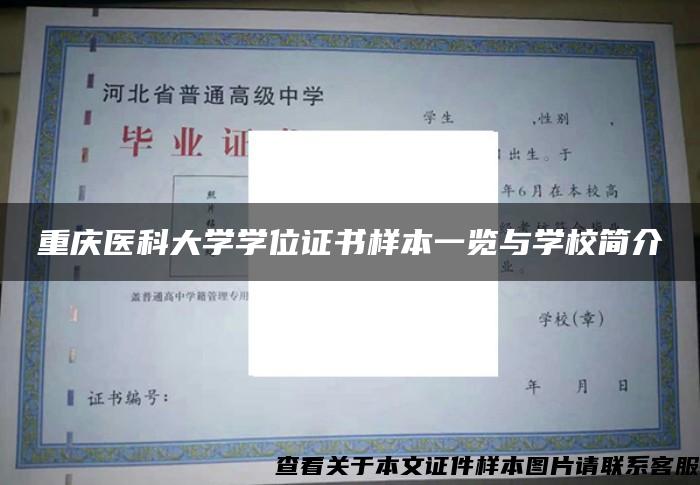 重庆医科大学学位证书样本一览与学校简介