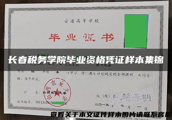 长春税务学院毕业资格凭证样本集锦