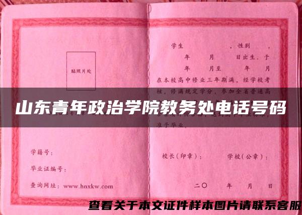 山东青年政治学院教务处电话号码