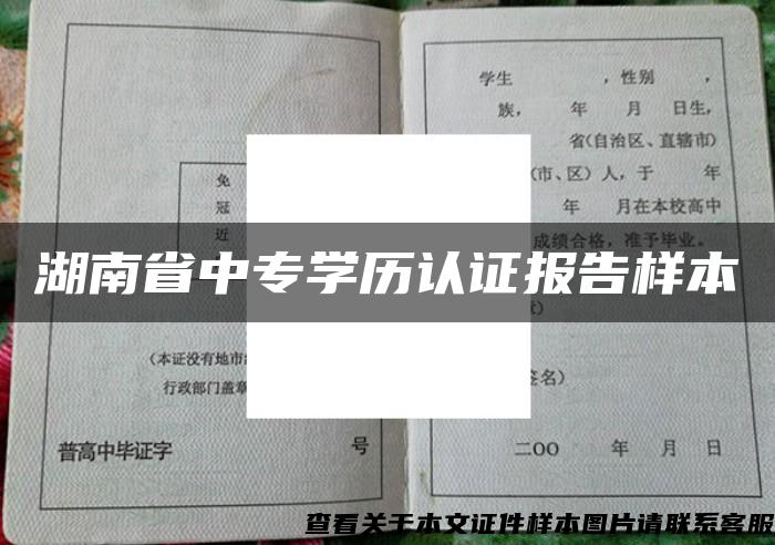 湖南省中专学历认证报告样本