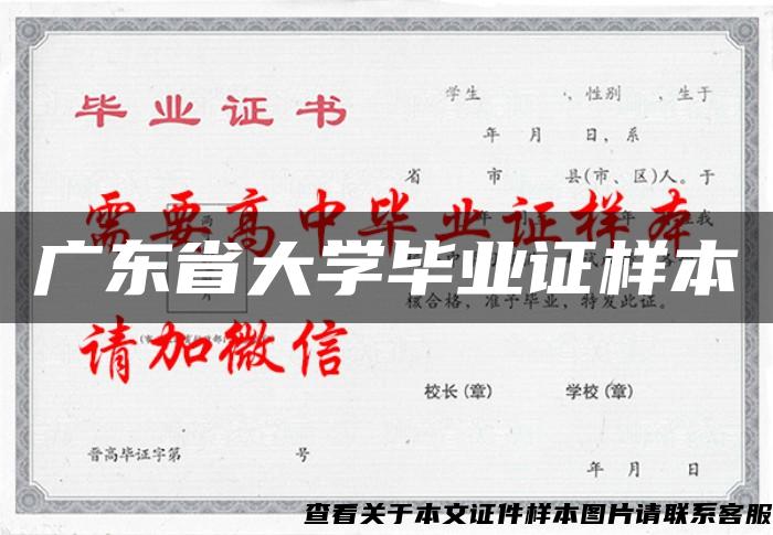 广东省大学毕业证样本