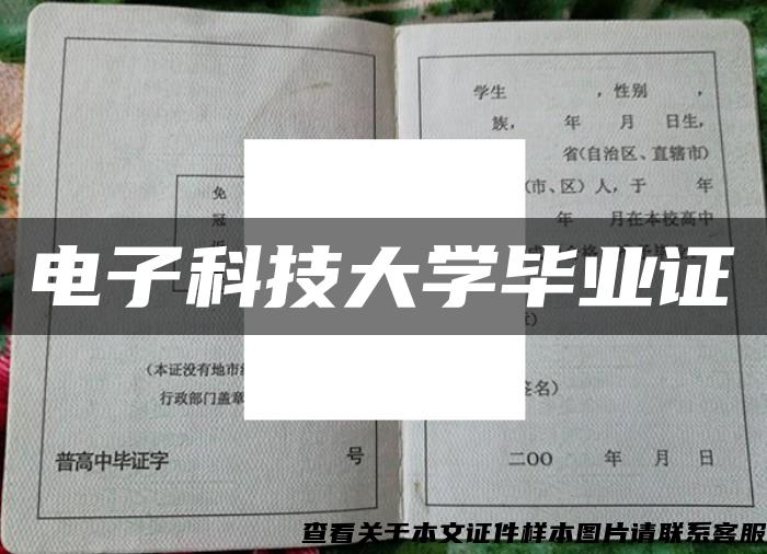 电子科技大学毕业证