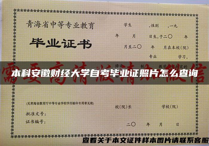 本科安徽财经大学自考毕业证照片怎么查询