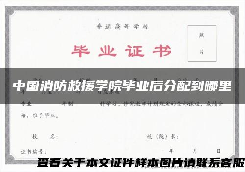 中国消防救援学院毕业后分配到哪里