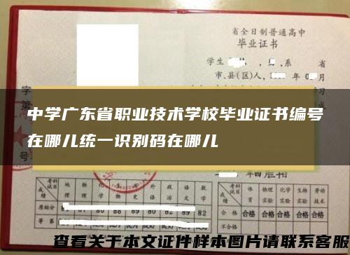 中学广东省职业技术学校毕业证书编号在哪儿统一识别码在哪儿