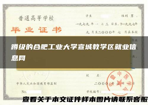 蹲级的合肥工业大学宣城教学区就业信息网