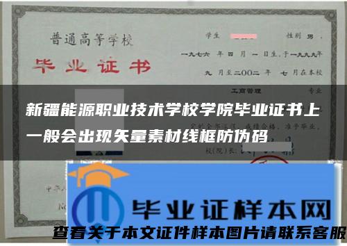 新疆能源职业技术学校学院毕业证书上一般会出现矢量素材线框防伪码