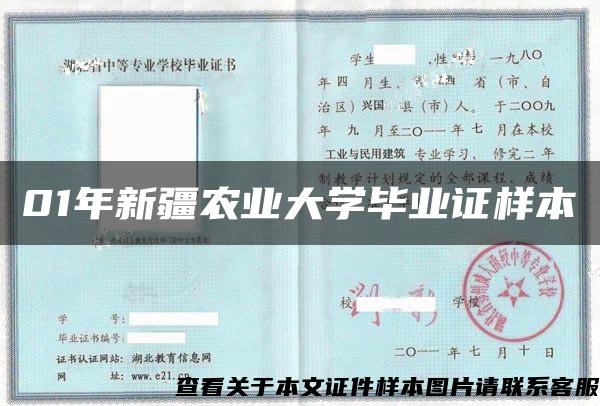 01年新疆农业大学毕业证样本