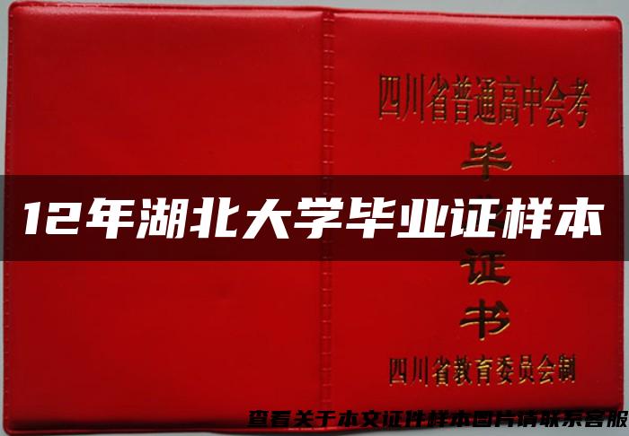 12年湖北大学毕业证样本