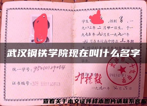 武汉钢铁学院现在叫什么名字