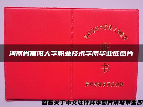 河南省信阳大学职业技术学院毕业证图片