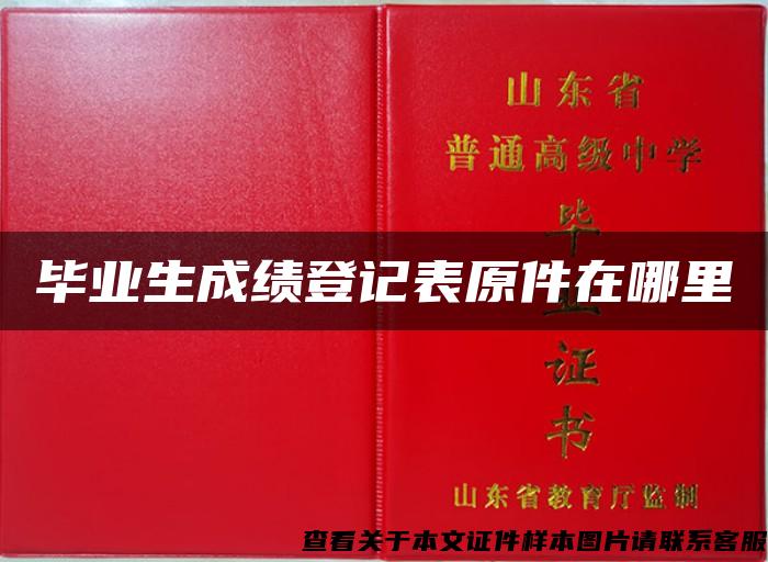 毕业生成绩登记表原件在哪里