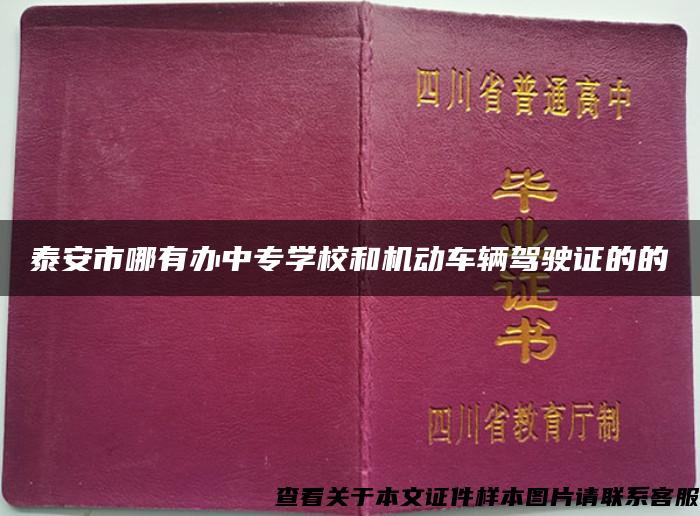 泰安市哪有办中专学校和机动车辆驾驶证的的